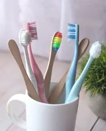 Family dental care toothbrushes in a cup